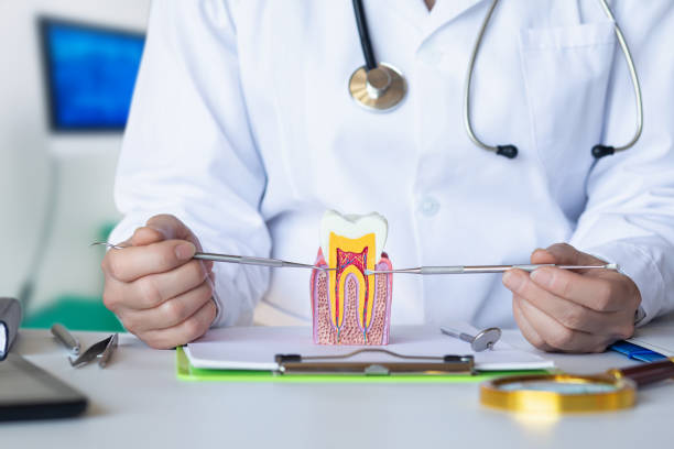Best Emergency Root Canal Therapy in Sarcoxie, MO